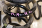 2022-2024 Hyundai Tucson SEL 2.5L AWD Rear Right and Left Side Coil Spring Pair - Alshned Auto Parts