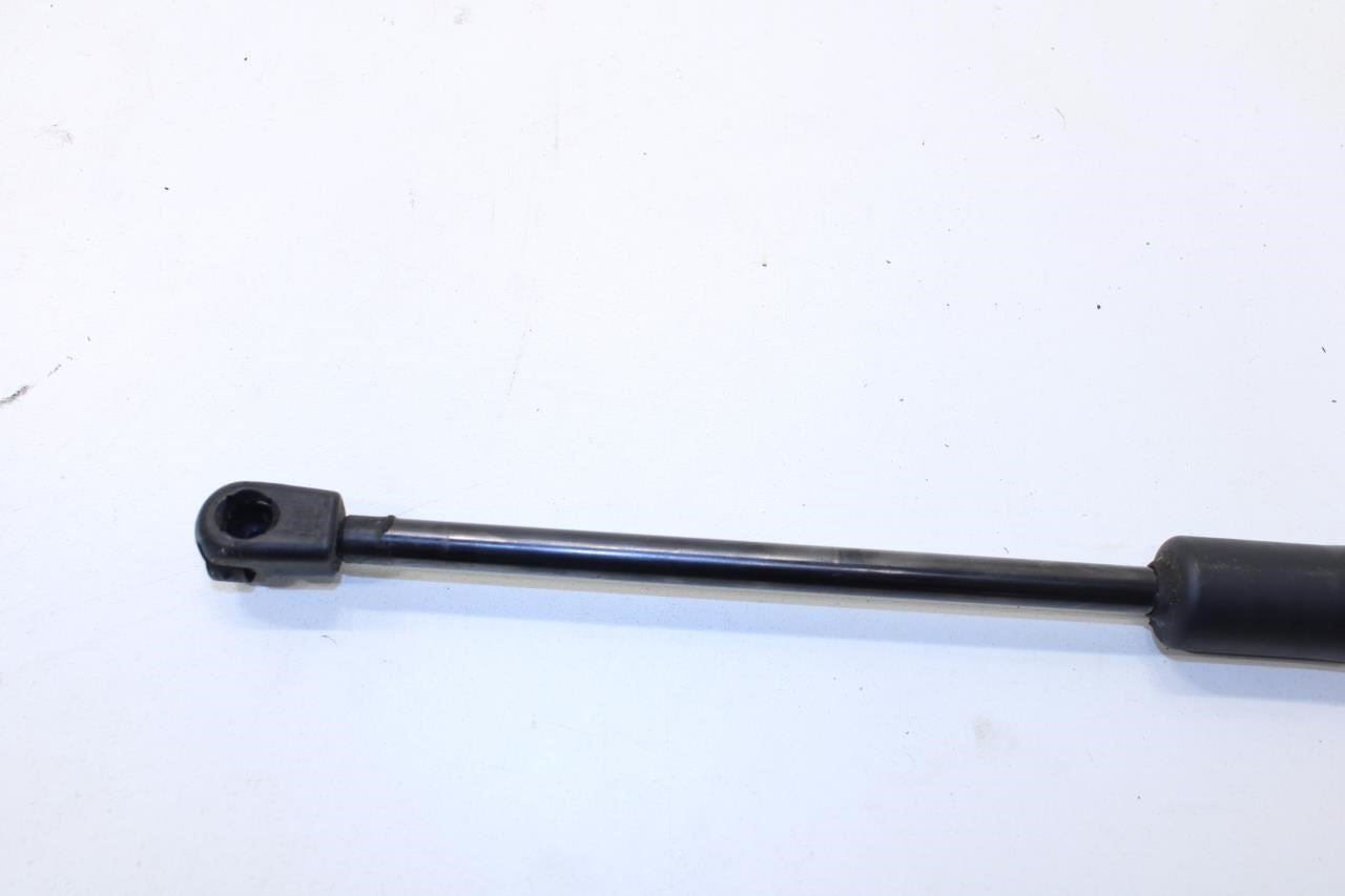 2019-20 Nissan Pathfinder SV Rear Left and Right Liftgate Lift Support Cylinder - Alshned Auto Parts