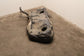 2018-2023 Kia Stinger GT2 AWD 3.3L Fuel Gas Tank 15.9 US Gallons 31150-J5500 OEM - Alshned Auto Parts