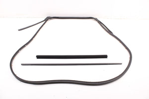 2019-2025 Infiniti QX50 LUXE Rear Right Door Weatherstrip with Belt Molding Set