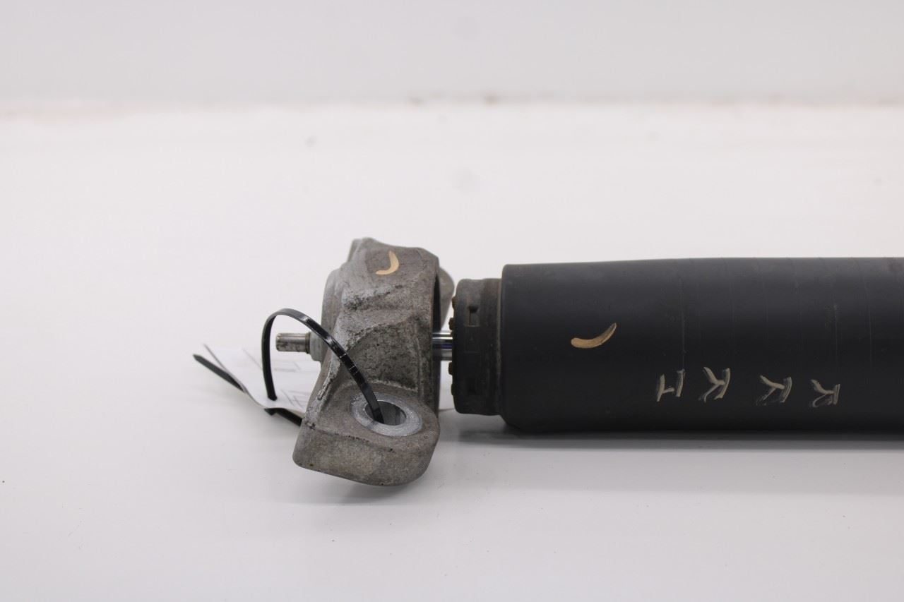 2018-26 Ford Mustang GT 5.0L RWD Rear Suspension Right Side Shock Strut Absorber - Alshned Auto Parts
