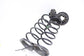 2016-21 Nissan Maxima RR RH & LH Suspension Coil Spring Set 55020-4RA3A OEM - Alshned Auto Parts