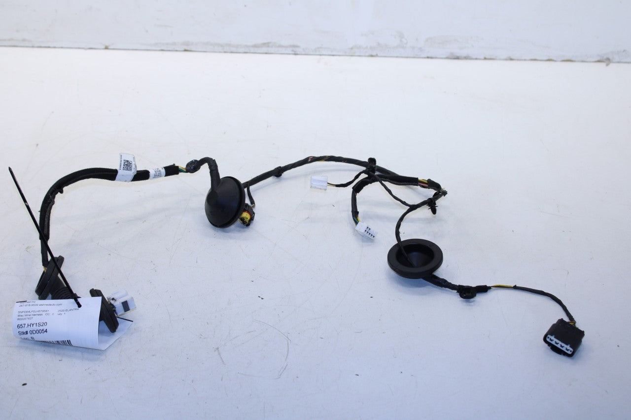 2019-2020 Hyundai Elantra SEL Rear Right Side Door Wire Harness 91665-F3010 OEM - Alshned Auto Parts