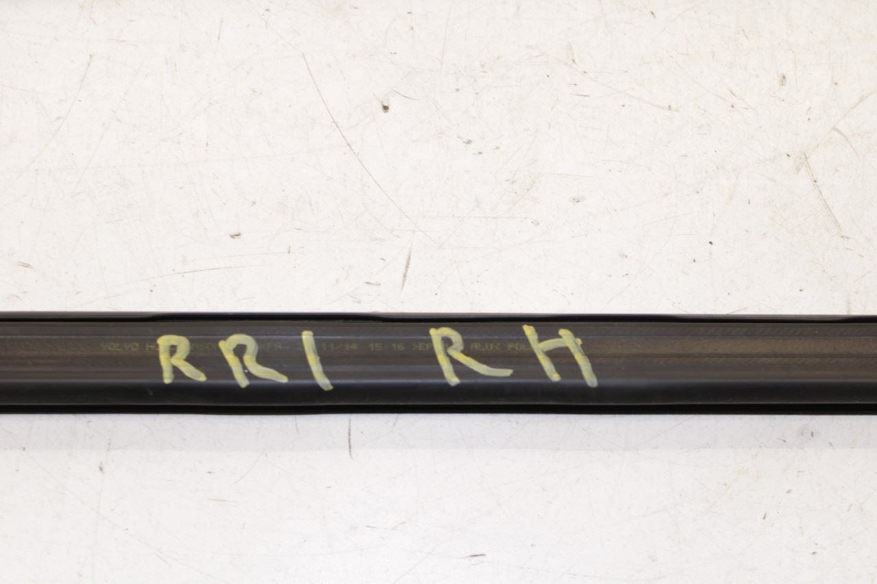 2011-2018 Volvo S60 Rear Right Door Run Channel with Belt Molding Weatherstrip - Alshned Auto Parts