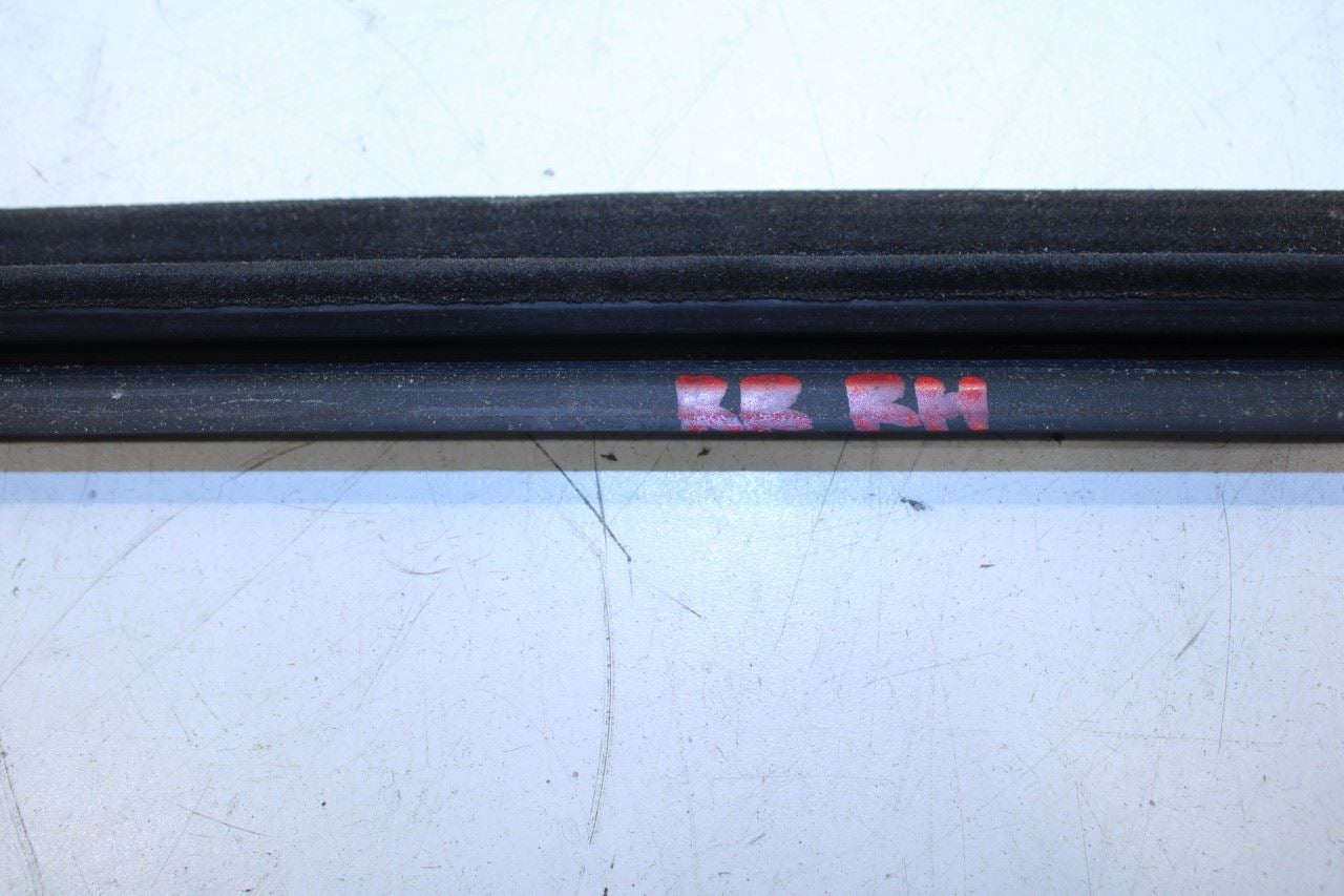 99-16 Ford F250 Lariat Crew Cab Rear Right Door Run Channel w/ Weatherstrip Set - Alshned Auto Parts