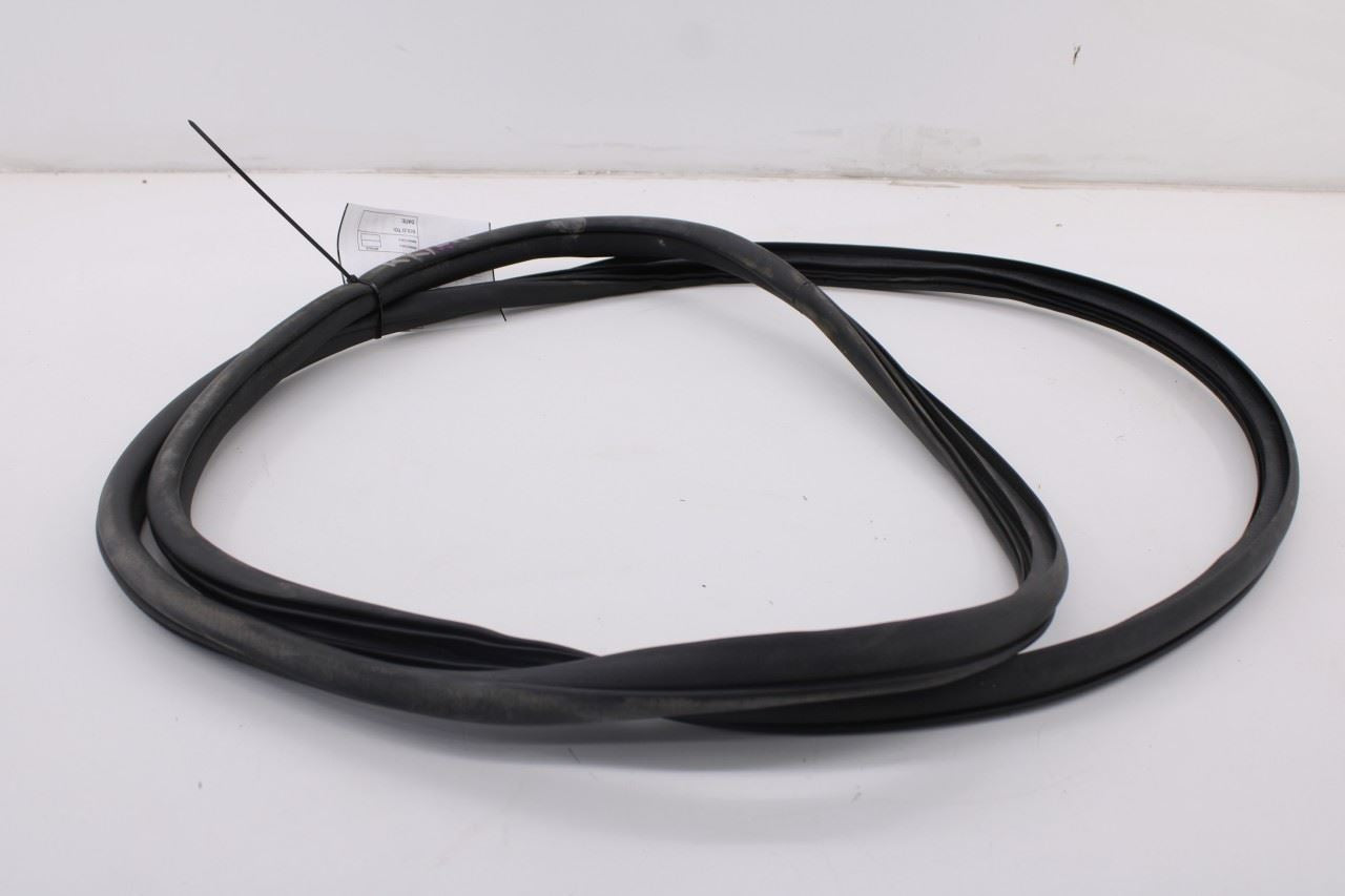 2019-2026 Ram 1500 Big Horn Crew Cab Rear Left Side Door Weatherstrip On Body2