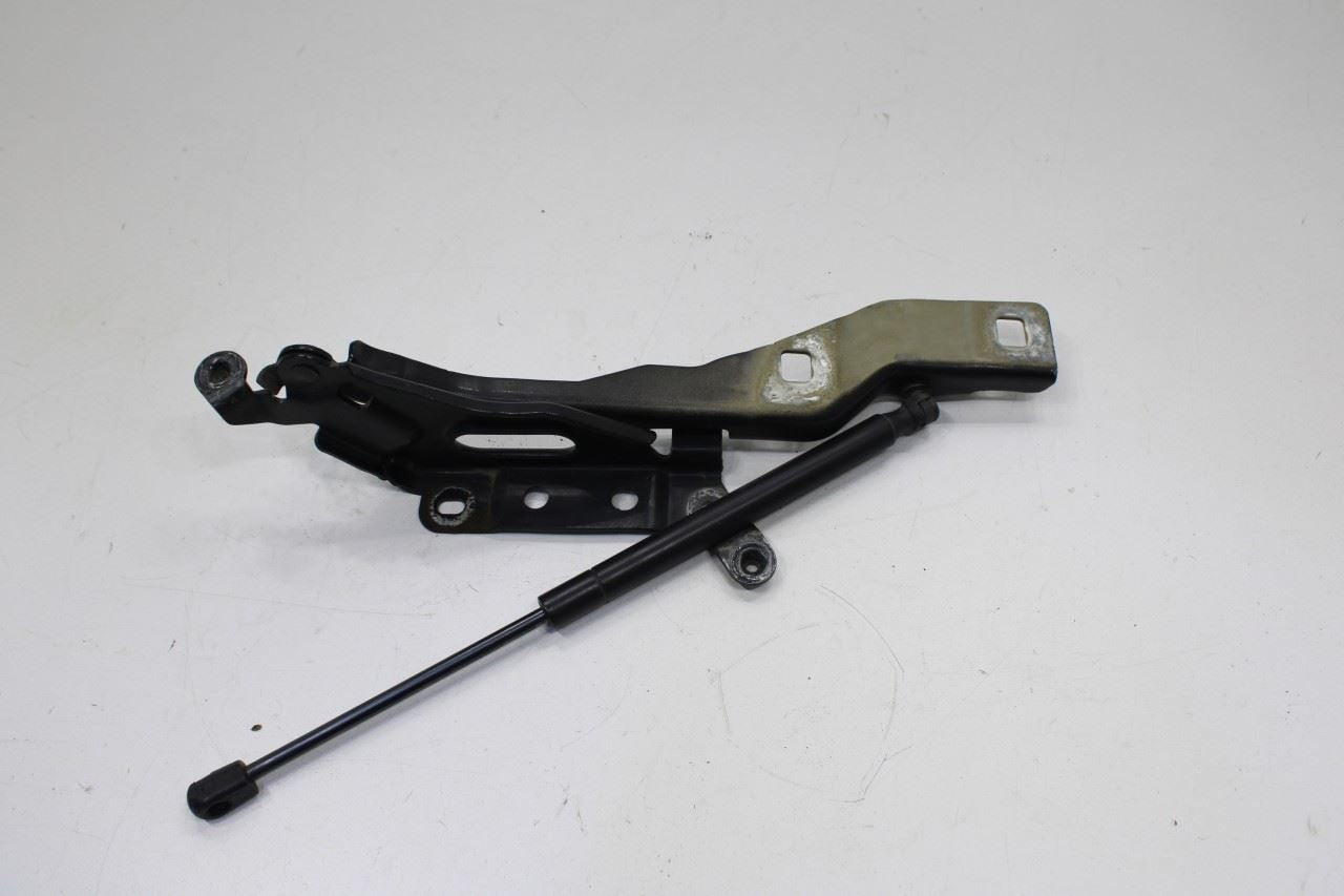2015-20 Ford F150 Super Cab Lariat Front RH and LH Hood Hinge Set w/ Lift Struts - Alshned Auto Parts