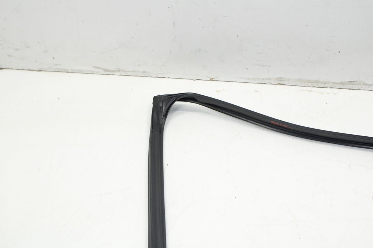 2013-2020 Lexus GS350 Rear Right Door Window Run Channel with Belt Outer Molding - Alshned Auto Parts