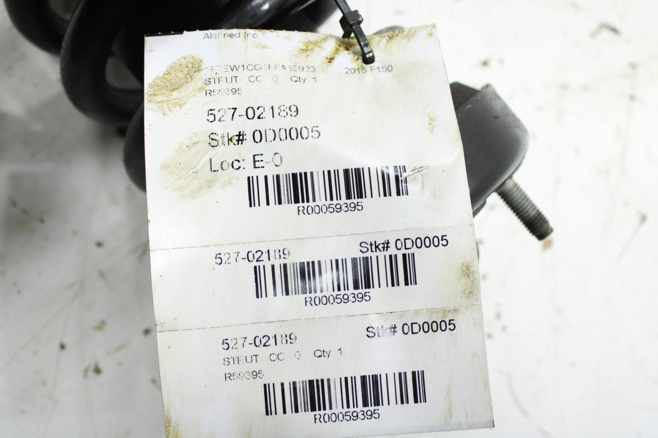 2015-17 Ford F150 Platinum RWD Front Side Shock Strut Absorber FL34-18045-BC OEM - Alshned Auto Parts