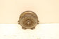 14-17 Maserati Ghibli 3.0L RDW 8-spd Transmission Torque Converter 673003836 OEM - Alshned Auto Parts
