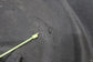 11-19 Jeep Grand Cherokee Rear Trunk Cargo Floor Carpet Cover 1NX98DX9AG *ReaD* - Alshned Auto Parts