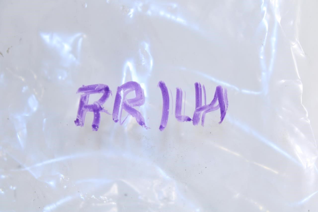 07-11 Mercedes-Benz S550 Rear Left Door Hinge Upper and Lower Pair 221-730-09-37 - Alshned Auto Parts