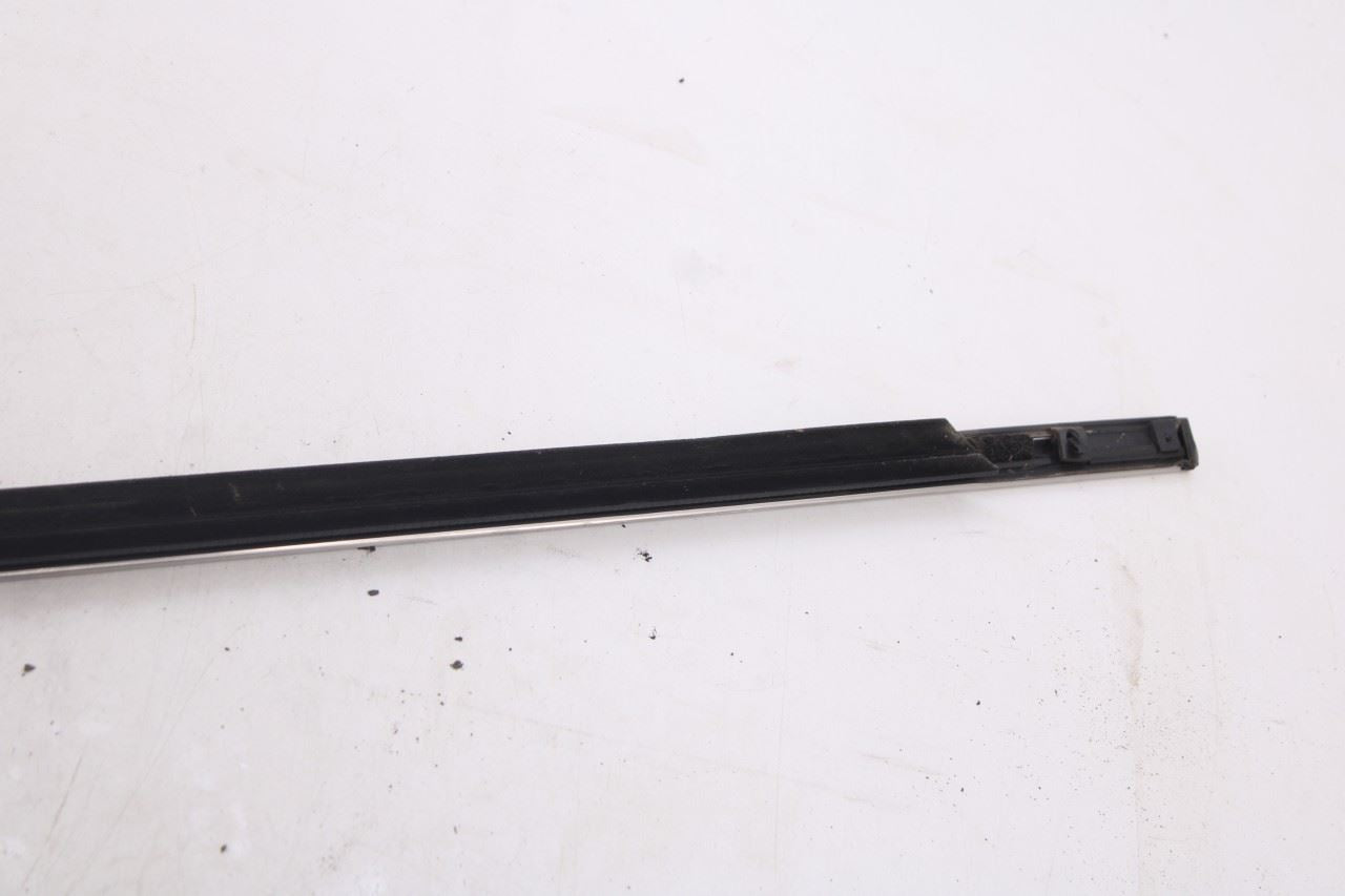 2018-2026 Ford Expedition Max XLT Rear Left Door Belt Molding and Weatherstrip10