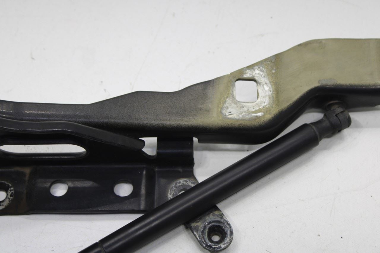 2015-20 Ford F150 Super Cab Lariat Front RH and LH Hood Hinge Set w/ Lift Struts - Alshned Auto Parts