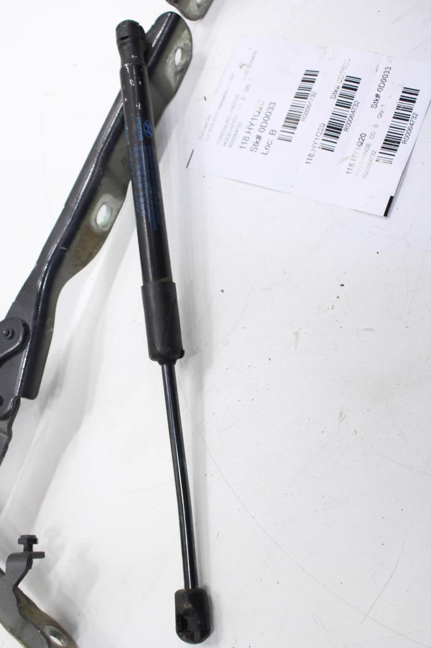 2020-2022 Hyundai Sonata SE Front Right and Left Hood Hinge w/ Lift Cylinder Set - Alshned Auto Parts