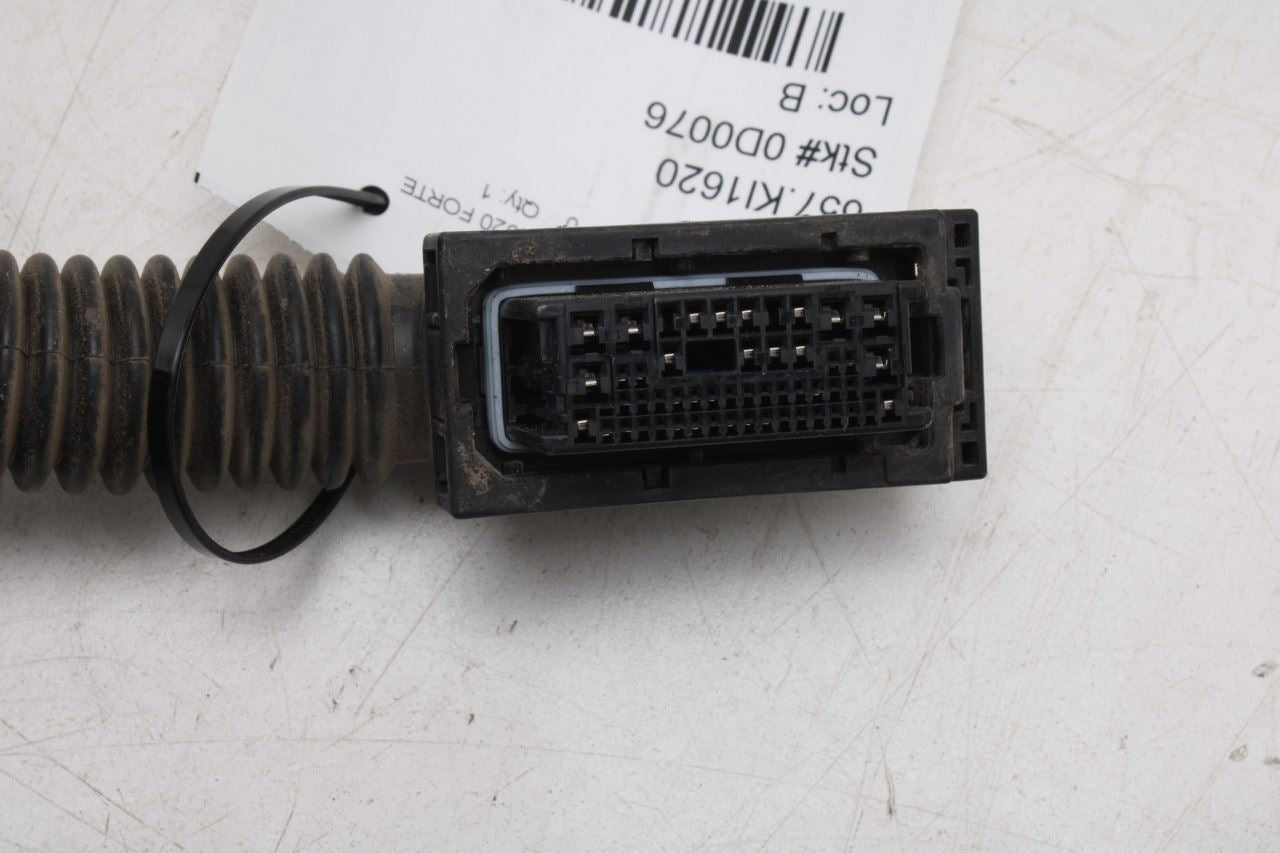 2020-2021 Kia Forte LXS Front Left Driver Side Door Wire Harness 91600-M7520 OEM - Alshned Auto Parts