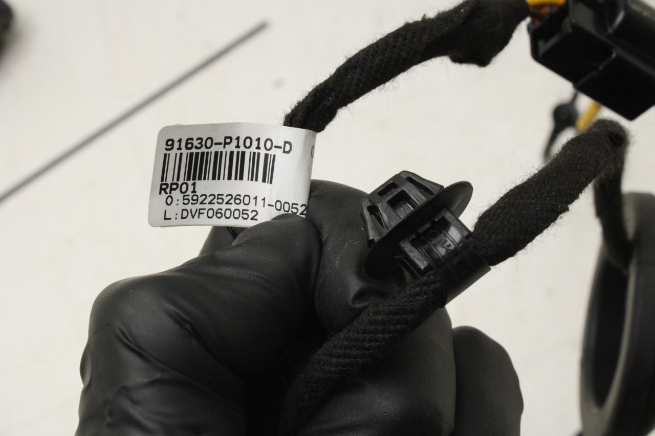 2023-2025 Kia Sportage Hybrid EX Rear Right Door Wire Harness 91630-P1010 OEM - Alshned Auto Parts