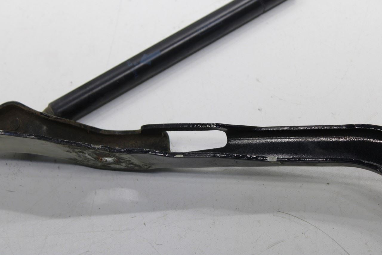 2015-20 Ford F150 Super Cab Lariat Front RH and LH Hood Hinge Set w/ Lift Struts - Alshned Auto Parts