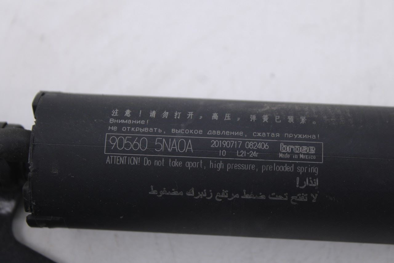 2019-25 Infiniti QX50 ESSENTIAL Rear Right and Left Liftgate Lift Cylinder Strut - Alshned Auto Parts