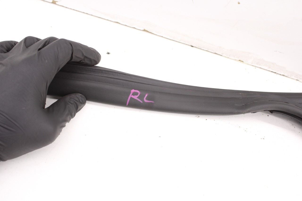 2019-2025 Infiniti QX50 LUXE Rear Left Door Weatherstrip with Belt Molding Set - Alshned Auto Parts