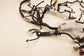 2025 Acura Integra A-Spec Dash Instrument Panel Wire Harness 77961-3S5-8D10 OEM - Alshned Auto Parts