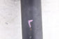 2013-2025 Mitsubishi Outlander Sport SE 4WD Rear Right Side Shock Strut Absorber10