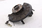 11-18 Volkswagen Jetta Sport 1.8L FWD Front Left Side Spindle Knuckle Hub *ReaD* - Alshned Auto Parts
