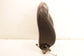 2019-21 Jeep Cherokee Latitude 3.2L Front Right Side Seat Backrest Upper Cushion - Alshned Auto Parts