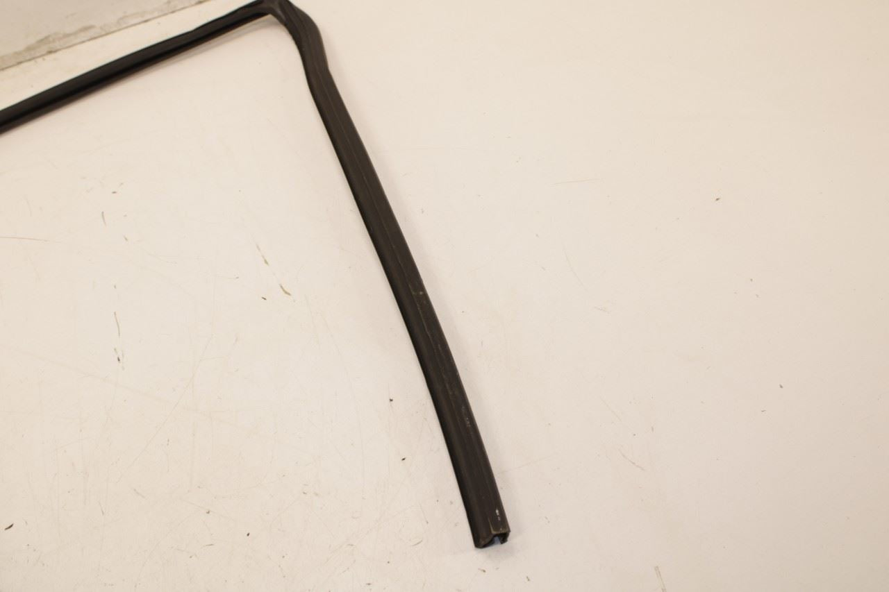14-20 Infiniti QX60 Pure Rear Left Door Run Channel with Belt Inner Weatherstrip - Alshned Auto Parts