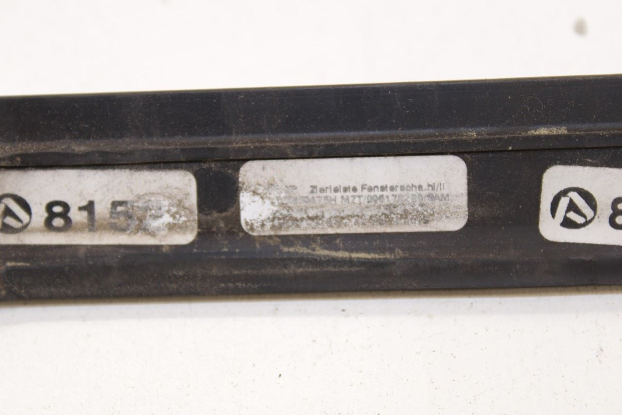 11-18 Porsche Cayenne Platinum RR LH Door Run Channel w Molding and Weatherstips - Alshned Auto Parts