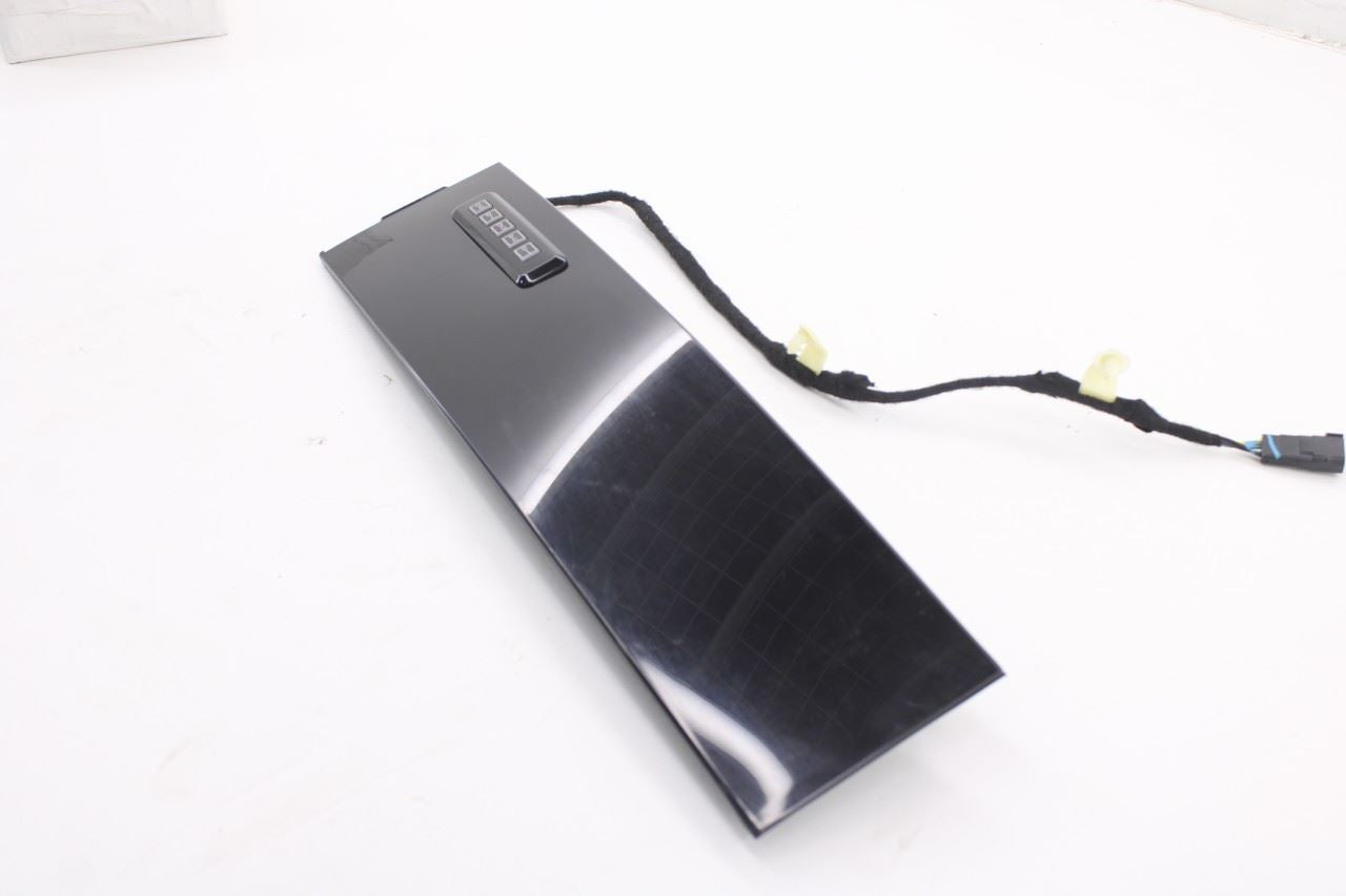 2015-26 Ford F150 XLT Front Left Door B-Pillar Applique Molding FL3Z-1520555-SG3