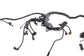 2024 BMW 430i Gran Coupe xDrive 2.0L AWD Engine Sensoric Wire Harness *ReaD* - Alshned Auto Parts