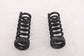 2008-15 Mercedes-Benz C350 Sport Rear Right and Left Driver Side Coil Spring Set - Alshned Auto Parts