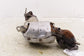 2016-2023 Mazda CX-9 Grand Touring 2.5L turbo Exhaust Manifold PYL1-20-50XA OEM - Alshned Auto Parts