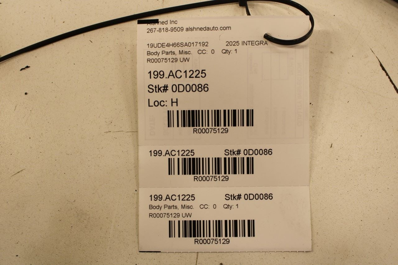 23-26 Acura Integra A-Spec FR LH Door Run Channel with Belt Molding Weatherstrip - Alshned Auto Parts