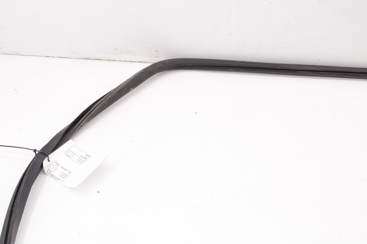 2017-2026 Chrysler Pacifica Limited Rear Right Sliding Door Weatherstrip On Body - Alshned Auto Parts