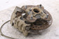 2015-23 Polaris RZR XP 1000 Front Left Side Spindle Knuckle Hub w/ Brake Caliper - Alshned Auto Parts