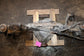 2013-18 Ram 1500 Laramie 5.7L 4WD Rear Axle Differential Carrier 3.21 ratio 183K - Alshned Auto Parts