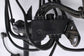 2019-21 Mini Hardtop Cooper 1.5L FWD Engine Sensoric Module Wire Wiring Harness8
