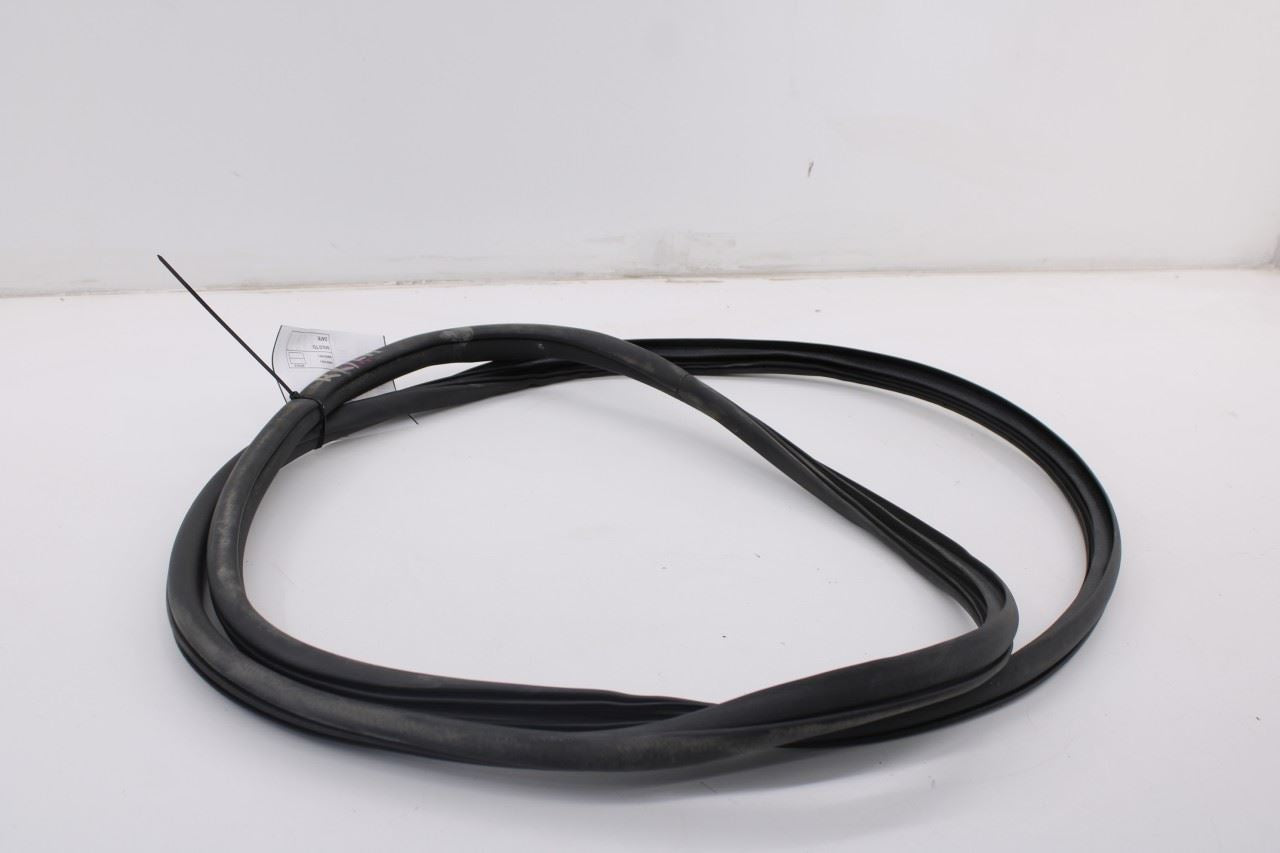 2019-2026 Ram 1500 Big Horn Crew Cab Rear Left Side Door Weatherstrip On Body3