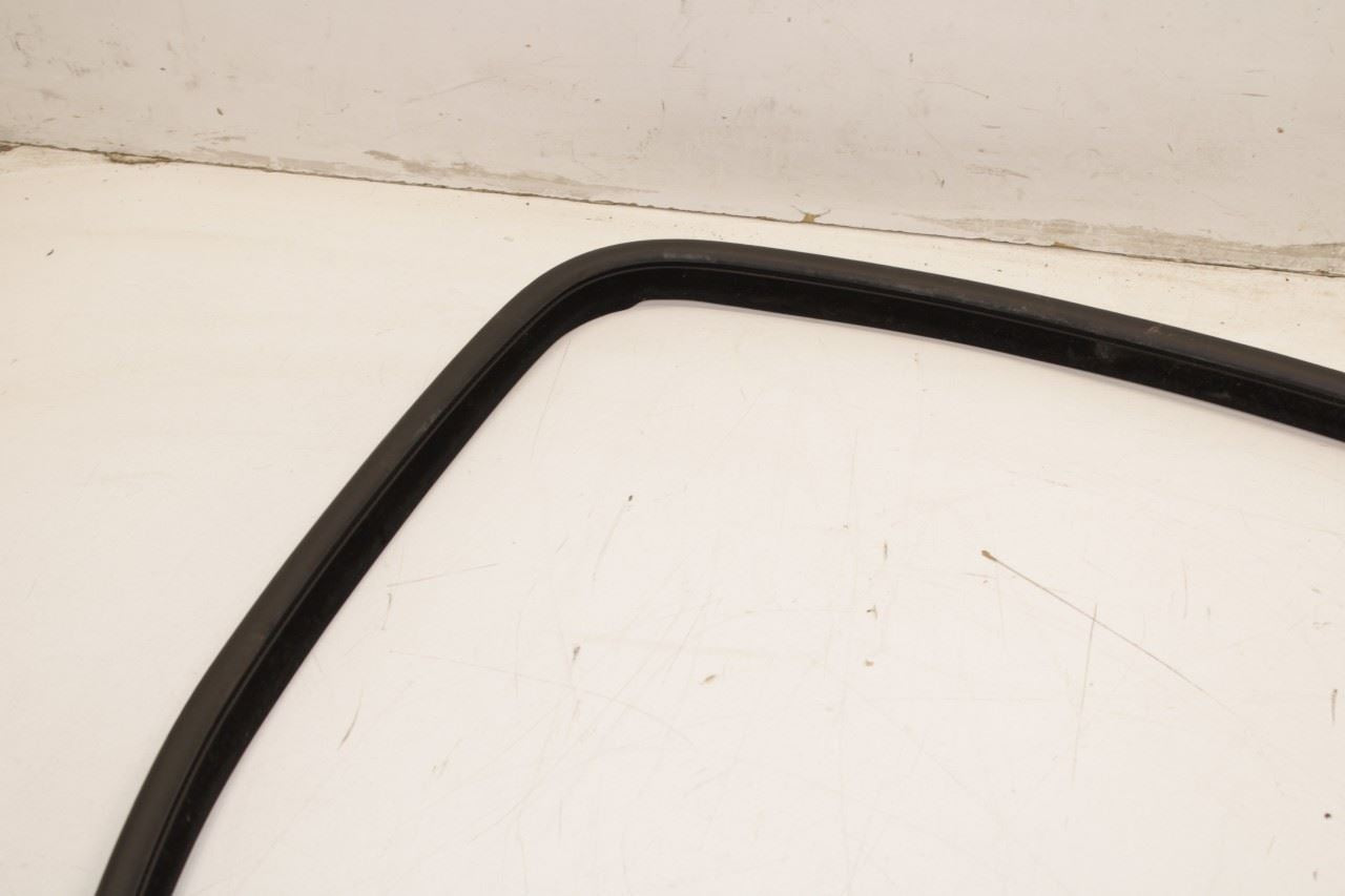 2011-2023 Dodge Charger GT AWD Rear Left Door Weatherstrip On Body 1KW36DX9AI - Alshned Auto Parts