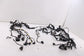 2024 Ford Escape ST 1.5L 2WD Engine Wire Wiring Harness RZ1T-14290-KN OEM - Alshned Auto Parts