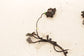19-21 Acura RDX HVAC Blend Door Actuator Motor Set 4 w Resistor and Wire Harness - Alshned Auto Parts
