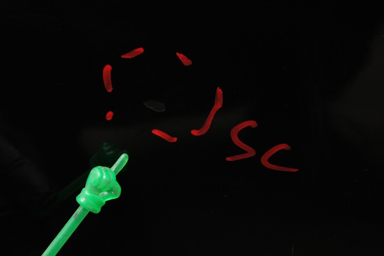 2012-2019 Volkswagen Passat SE Rear Right Passenger Door Shell Panel 561833312C - Alshned Auto Parts