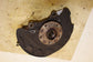 2018-2023 Volkswagen Atlas S Front Right Side Spindle Knuckle Hub 3QF-407-256-E - Alshned Auto Parts