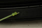 2020-2024 Kia Forte LXS Dash Instrument Panel 84710-M7001WK OEM *ReaD* - Alshned Auto Parts