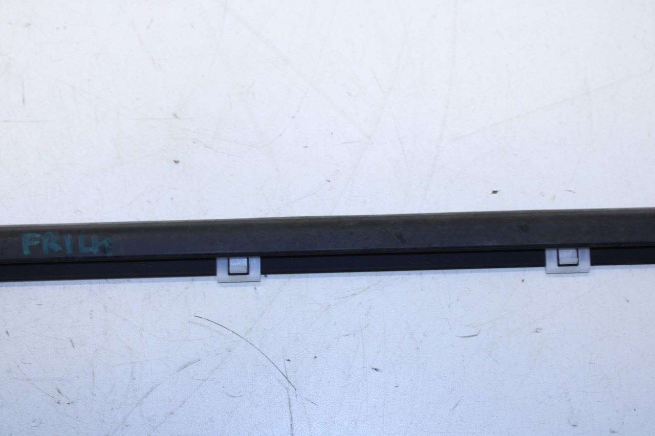 2016-20 Hyundai Elantra Front Left Door Run Channel w/ Belt Molding Weatherstrip - Alshned Auto Parts