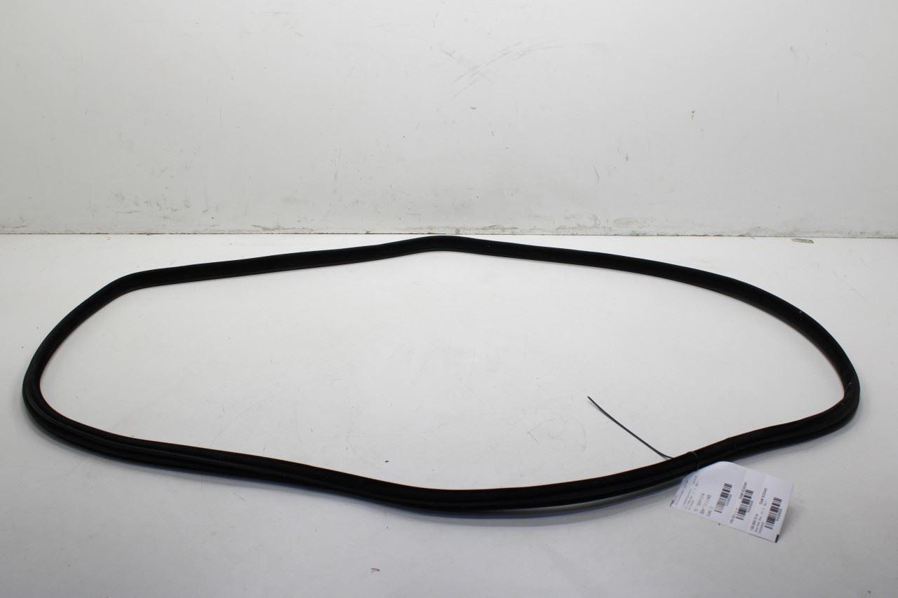 2014-2018 BMW X5 xDrive35i Rear Left Door Weathestrip On Body 51727289689 OEM - Alshned Auto Parts