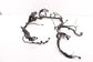 21-24 Honda Odyssey Touring 3.5L LH Side Engine Wire Harness 32120-THR-A42 *ReaD - Alshned Auto Parts