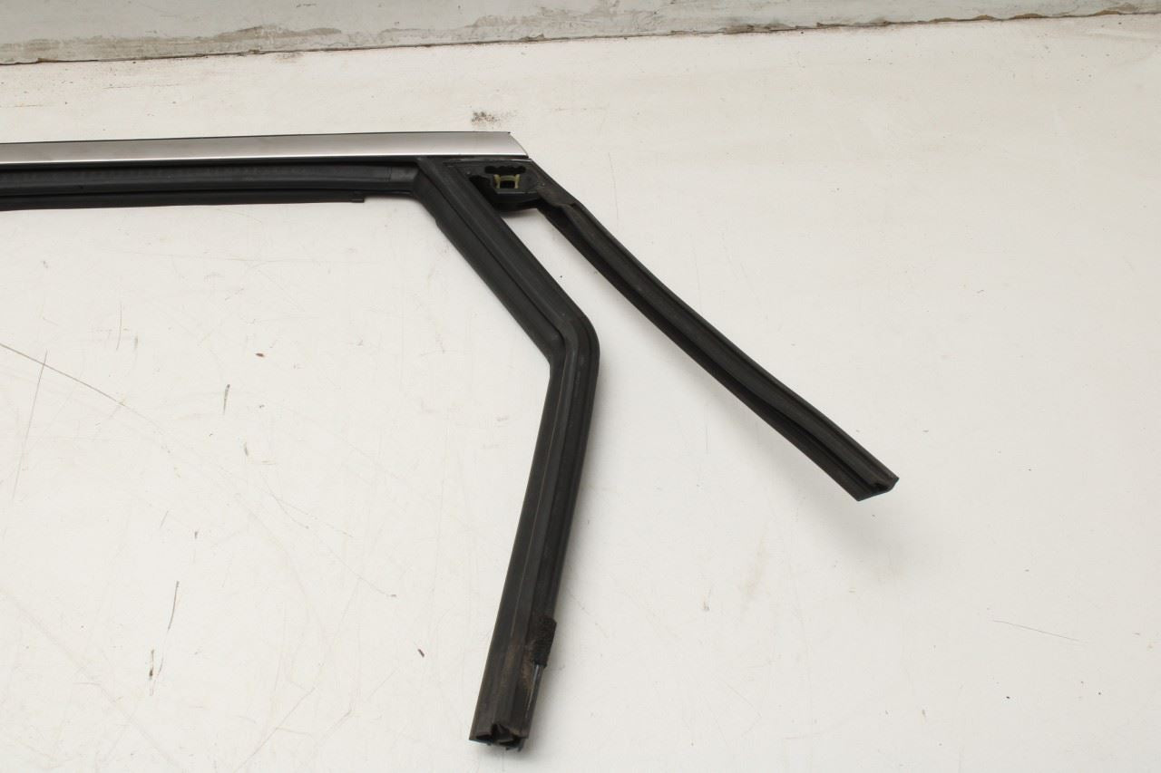 20-25 Ford Escape Rear Left Door Run Channel w Belt Weatherstrips LJ6Z-7825767-D - Alshned Auto Parts